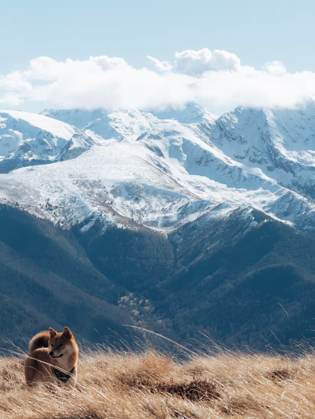 Pyrénées Ariégeoises