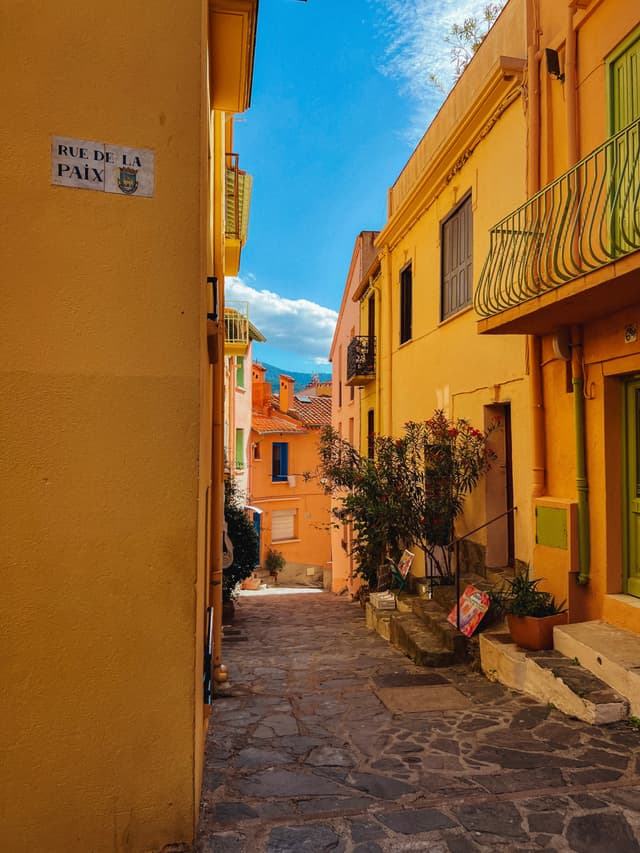 Collioure