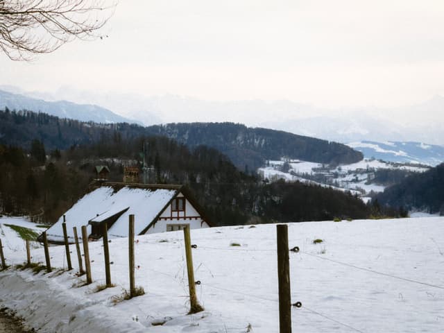 Zurich