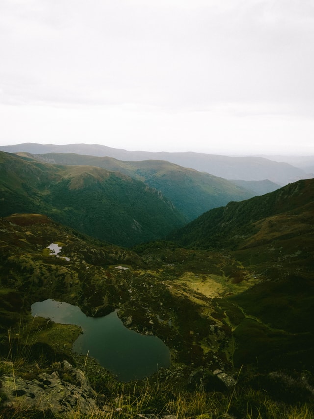 Pyrenees