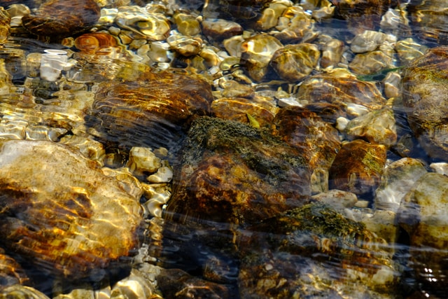 Lake Bohinj