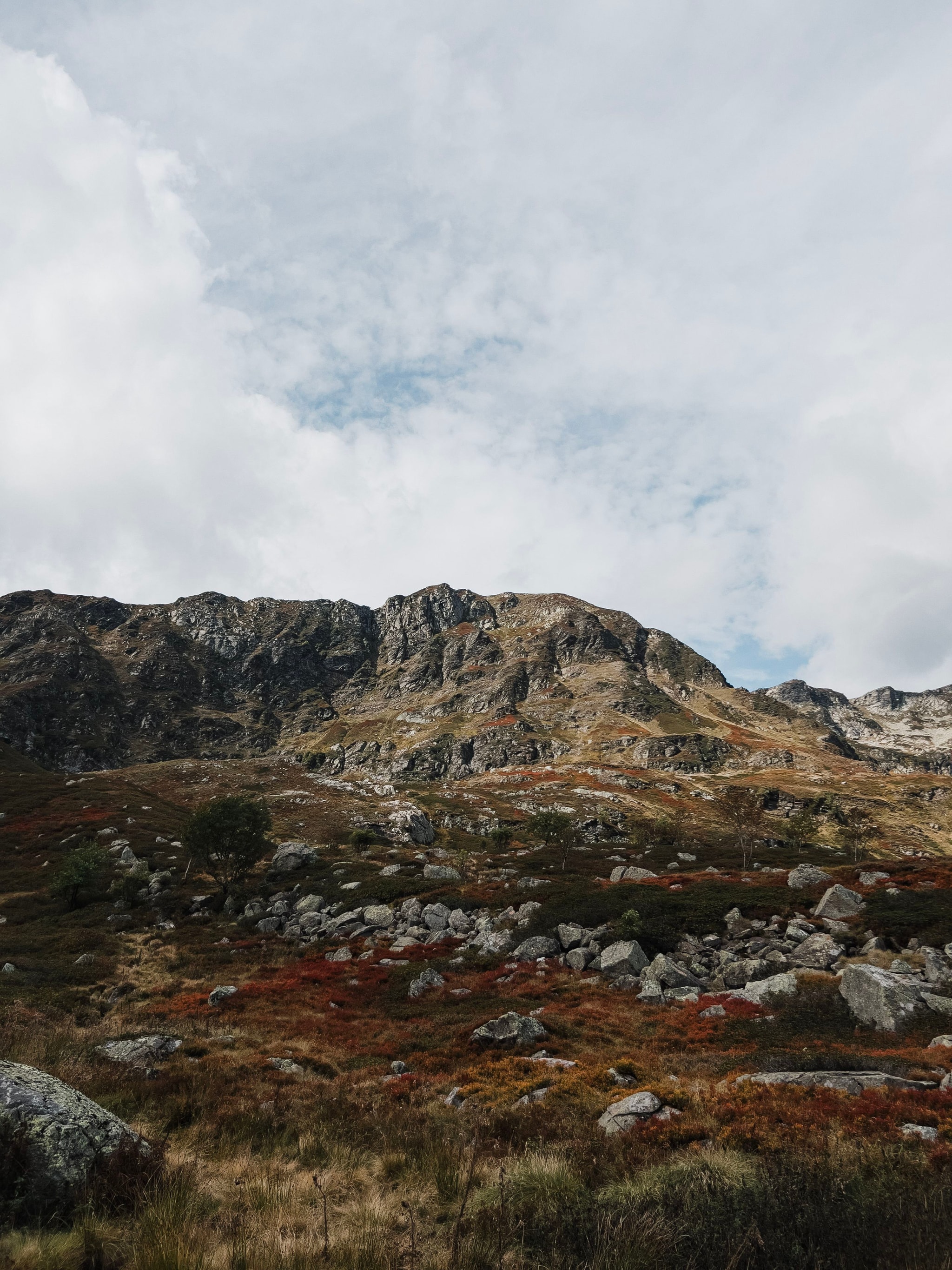 Pyrenees