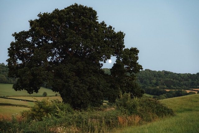 Wye Valley
