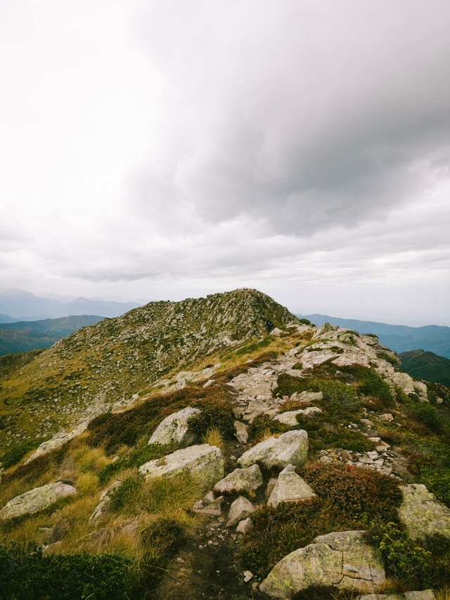 Pyrenees