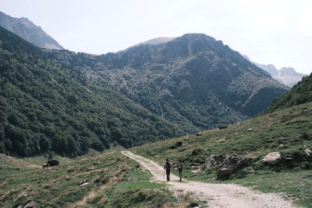 Pyrenees