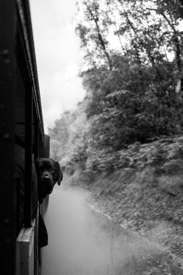 Lake District