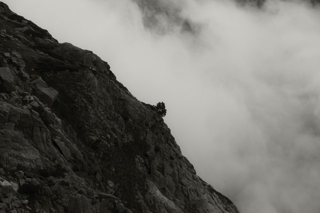 Pyrenees