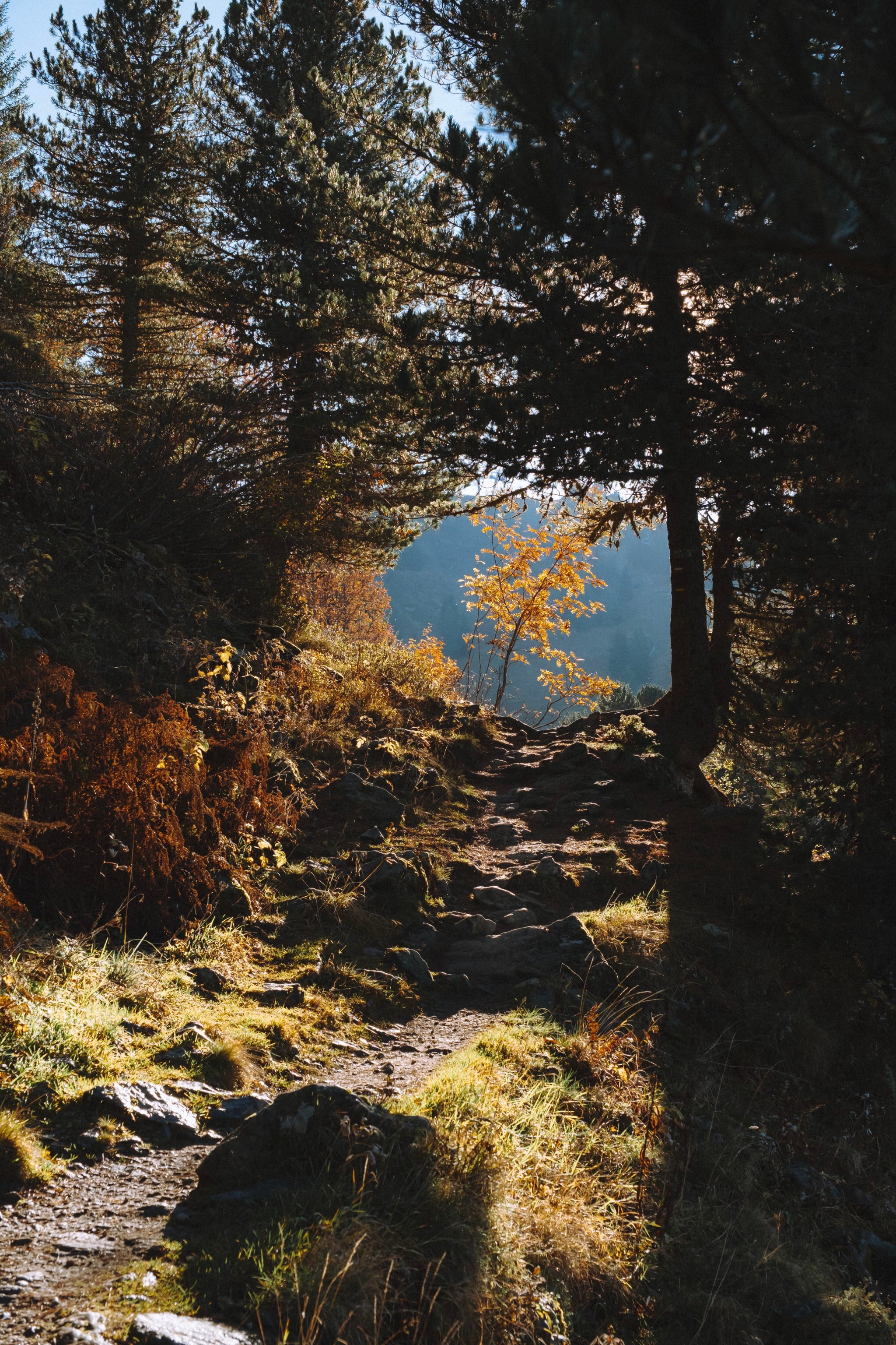 Alps