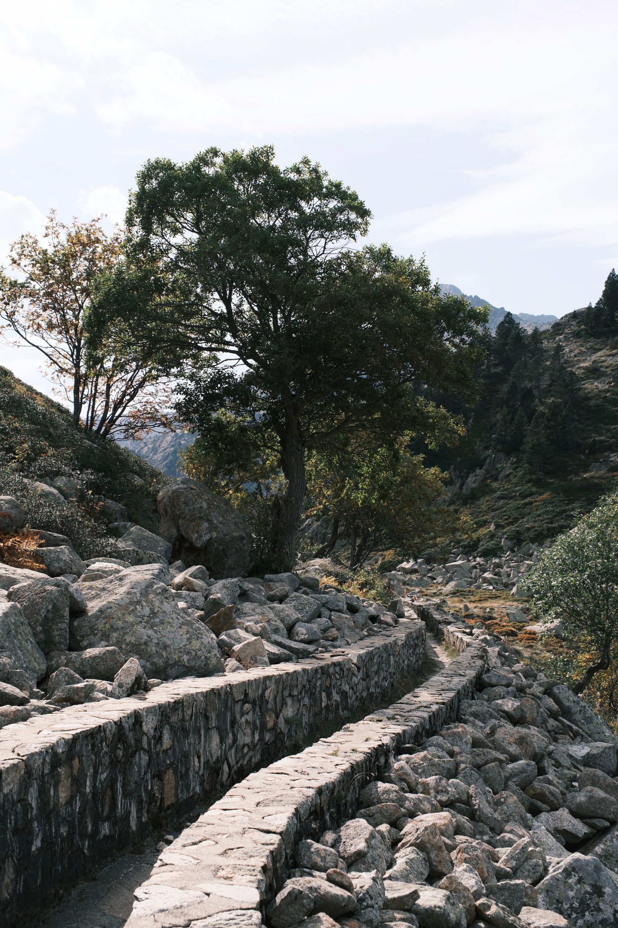Pyrenees