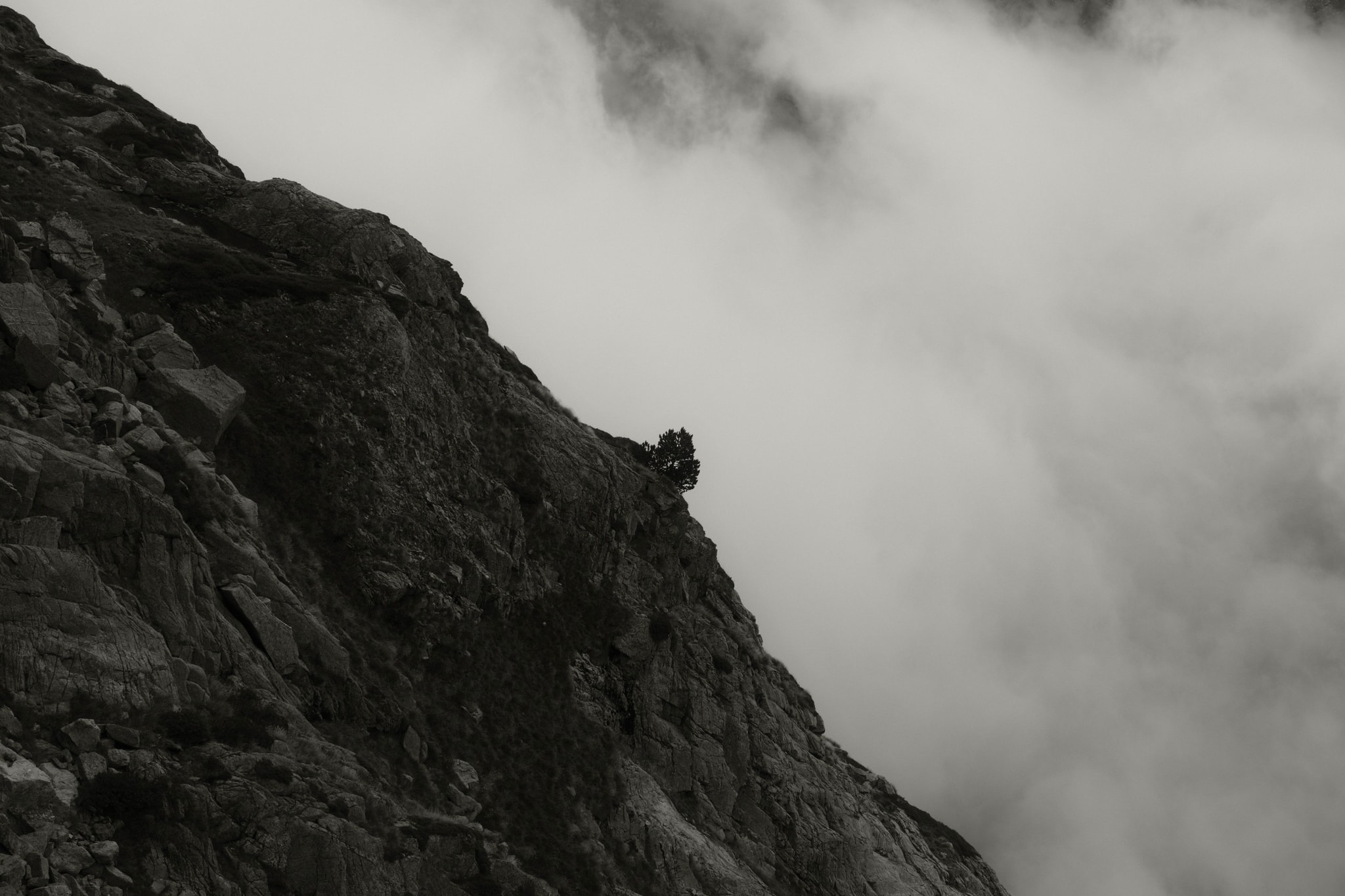 Pyrenees